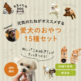 犬 おやつ 無添加 お試し 詰め合わせ 全15種類 送料無料 ジャーキー 元気のたね