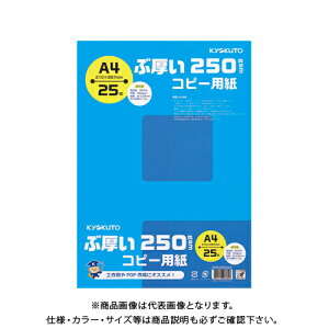 {m[g(LNgEEA\VGCc) Ԍ250gsmRs[pA4 PPC250A4