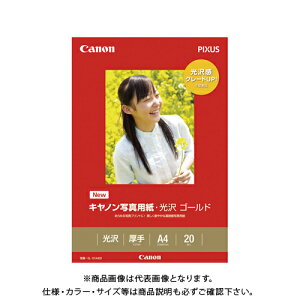 Lm ʐ^pS[hA4 20 GL-101A420