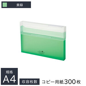 qgu ROXP[X A4 Rs[p300e A-5024