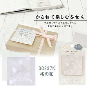 ˂Ċyނӂ Ả Nc SC237K