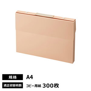 qgu Roomy P[Xt@C A4 sN A-799-12