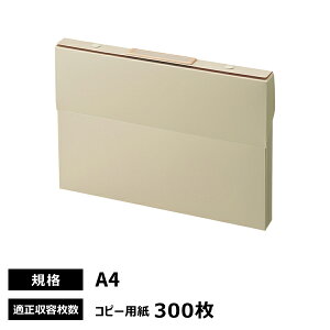 qgu Roomy P[Xt@C A4 x[W A-799-16