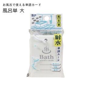 Nc CP () zCg zCg SC241WH