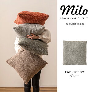 �N�b�V���� W45×D45cm �k�� ������� ���_�� �傫�� �����` �\�t�@ �u�[�N�����n �����݃J���[ �X�N�G�A ���n �V���v�� �l�p ���r���O ���������x�b�h �u���E�� �O���[�� �O���[ �I�����W ���[