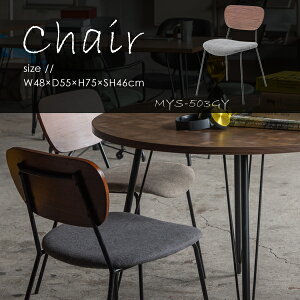 `FA ʍ46cm O[ CX ֎q _CjO rO H ItBX JtF Vv  fUC`FA k 킢 i` A[X IȂ wؐ ʃt@u