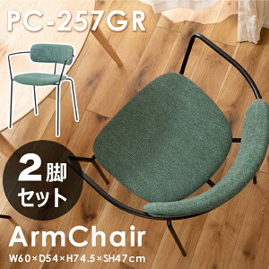 A[`FA ʍ47cm 2rZbg O[ `FA ֎q CX  k Vv i` _ _CjO rO H c ҍ ItBX t@ubN X`[ I 