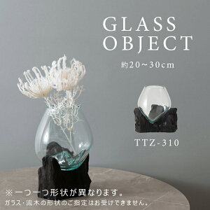 OXIuWF NA KXIuWF IuWF KX  _ eE ANAE Ԋ fBXvC KX t[|bg 썑 t[x[X [J[i J TTZ-310