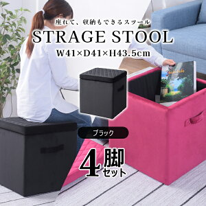 XNGA [Xc[M 43.5cm 4rZbg ubN Xc[ [{bNX t^t xAn   ֎q Ibg} 킢 p^ MTCY i J BLT-58BK