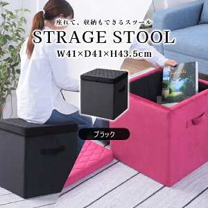 XNGA [Xc[M 43.5cm ubN Xc[ [{bNX t^t xAn   ֎q Ibg} 킢 p^ MTCY i J BLT-58BK