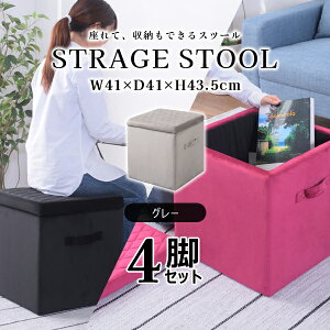 XNGA [Xc[M 43.5cm 4rZbg O[ Xc[ [{bNX t^t xAn   ֎q Ibg} 킢 p^ MTCY i J BLT-58GY