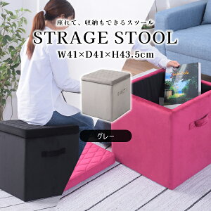 XNGA [Xc[M 43.5cm O[ Xc[ [{bNX t^t xAn   ֎q Ibg} 킢 p^ MTCY i J BLT-58GY