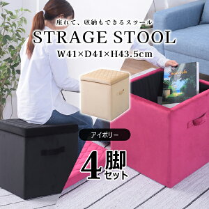 XNGA [Xc[M 43.5cm 4rZbg AC{[ Xc[ [{bNX t^t xAn   ֎q Ibg} 킢 p^ MTCY i J BLT-58IV