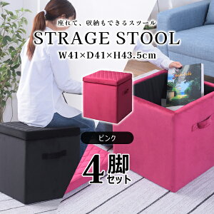 XNGA [Xc[M 43.5cm 4rZbg sN Xc[ [{bNX t^t xAn   ֎q Ibg} 킢 p^ MTCY i J BLT-58PK