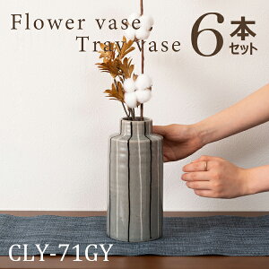 t[x[X 22cm 6{Zbg O[ ԕr Ԃт t[X^h k  Vv  퐻 a_ _ g x[VbN CeA 킢 傫 XgCv {[