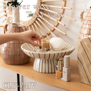 gCx[X 12cm AC{[ IuWF CeA  ANZT[gC fBXvC  k  Z~bN _  [ t XgCv {[_[ i