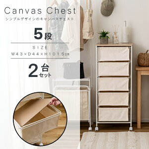 LoX`FXg5i `FXg LoXn rO [ X  LX^[t ߑP[X Ebhgbv z ߗގ[ i J MIP-379