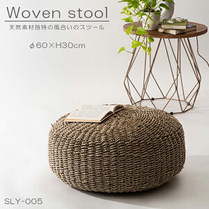 Xc[ 30cm ֎q CX Ibg} p_[t 炩  _ i` ҂ݍ rO Q | i J SLY-005