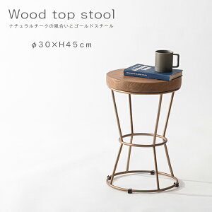 Xc[ 45cm ֎q TChe[u v^[x[X ~` X`[ AeB[NS[h VR  Vv i` i J SLY-017