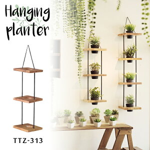 nMOv^[ 3i W20×D20×H56cm uE ݂邷 Ǌ| G u bN   K[fjO | i J TTZ-313