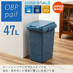 �����n���h�p�b�L���y�[�� 47L �u���[ ��e�� ���ݔ� �_�X�g�{�b�N�X �t�^�t ���b�N�@�\�t �p�b�L���t �v���X�`�b�N �|���v���s���� �I�[�V�����o�E���h�v���X�`�b�N �����i ���J RSD-51