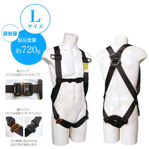 Easyn[lX Light tn[lX{̂̂ wX V LTCY ^C^ TITAN EHLG-10A-L