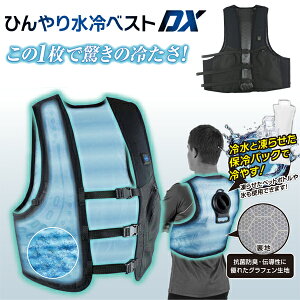 Ђ␅xXgDX t[TCY (S`3L) t[TCY DAISHIN i WCV-D24F