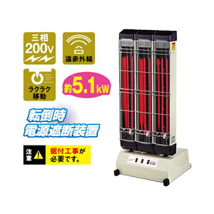 yʓrzyizԊOdCq[^[ (O200V) iJg~ NAKATOMI IFH-30TP