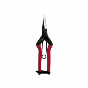 ߐ ^E n攖n BP T-601K