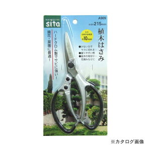 SITA A909 SITA n[hNA؂͂