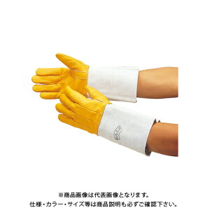 ӂ #408 v nڗpRr5{w^Cv t[