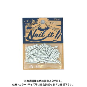 Y NAILITB#17×19 100{ܓ zCg NF10010