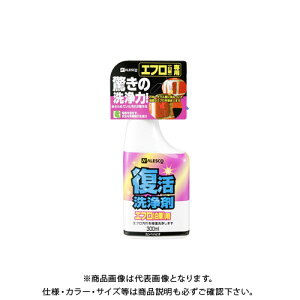 カンペハピオ 復活洗浄剤 エフロ用 300ML 00017660062300
