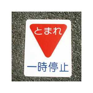 AgnEXyCg tATC ꎞ~ 40cm×50cm 00001-03694