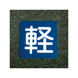 AgnEXyCg tATC y 40cm×40cm 00001-03688