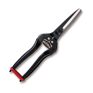 �A���X ARS �A���X KG-300LW-BP �H��p�r��