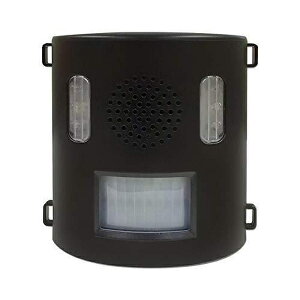 CeWp Ce Qbފ AjoN IJ-ANB21