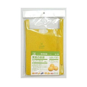 F{X ʎ̊| bL[W#6 50 K-19