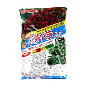 g`[ n`pG[X 2kg #038621