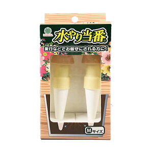 }n`Y V蓖 MTCY 2 x[W