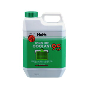 zc Holts OCtN[g95 (2bg) ~h MH313