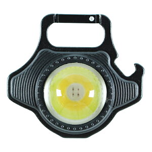 LED~j|Pbg [d qV` BIGMAN rbO} BPLM-03