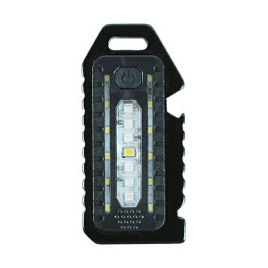 LED~j|Pbg [d c BIGMAN rbO} BPLM-04
