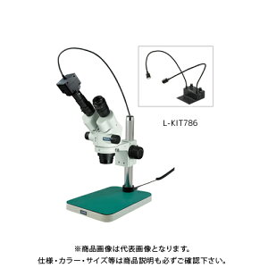 z[U ̌ PCp (L-703t) L-KIT786