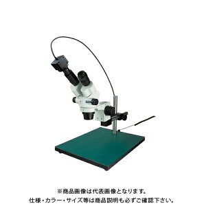 z[U ̌ PCp L-KIT789