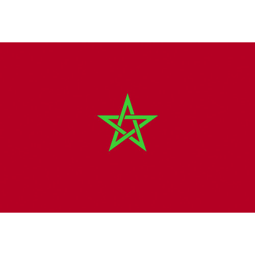 東京製旗 国旗No.2(90×135cm) モロッコ 426786-