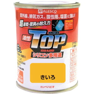 KANSAI �J���y �����g�b�v�K�[�h1.6L������ 119-0551