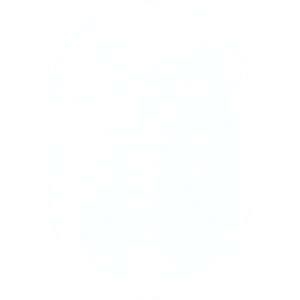 OP ԍD  n  (25) BF-41-WH