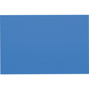 yʓrzyizIRIS 262728 v_ 450X300X4 u[ PD-434-BL