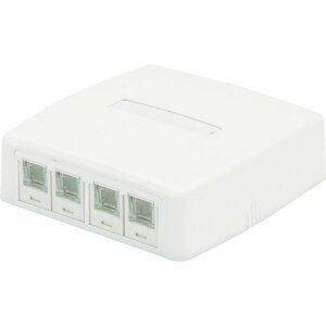 phECbg CAT5EXvOVb^[t[[bgLbg 4  JOQ4H500